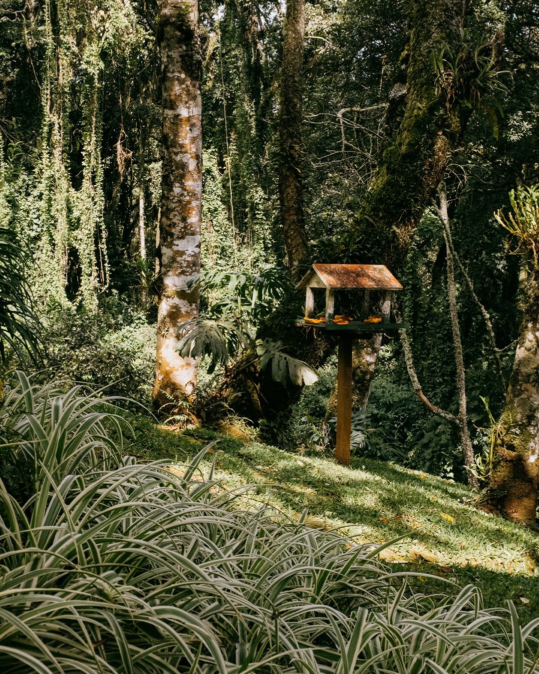 538945131_1219075093570678_138537313824410619_n