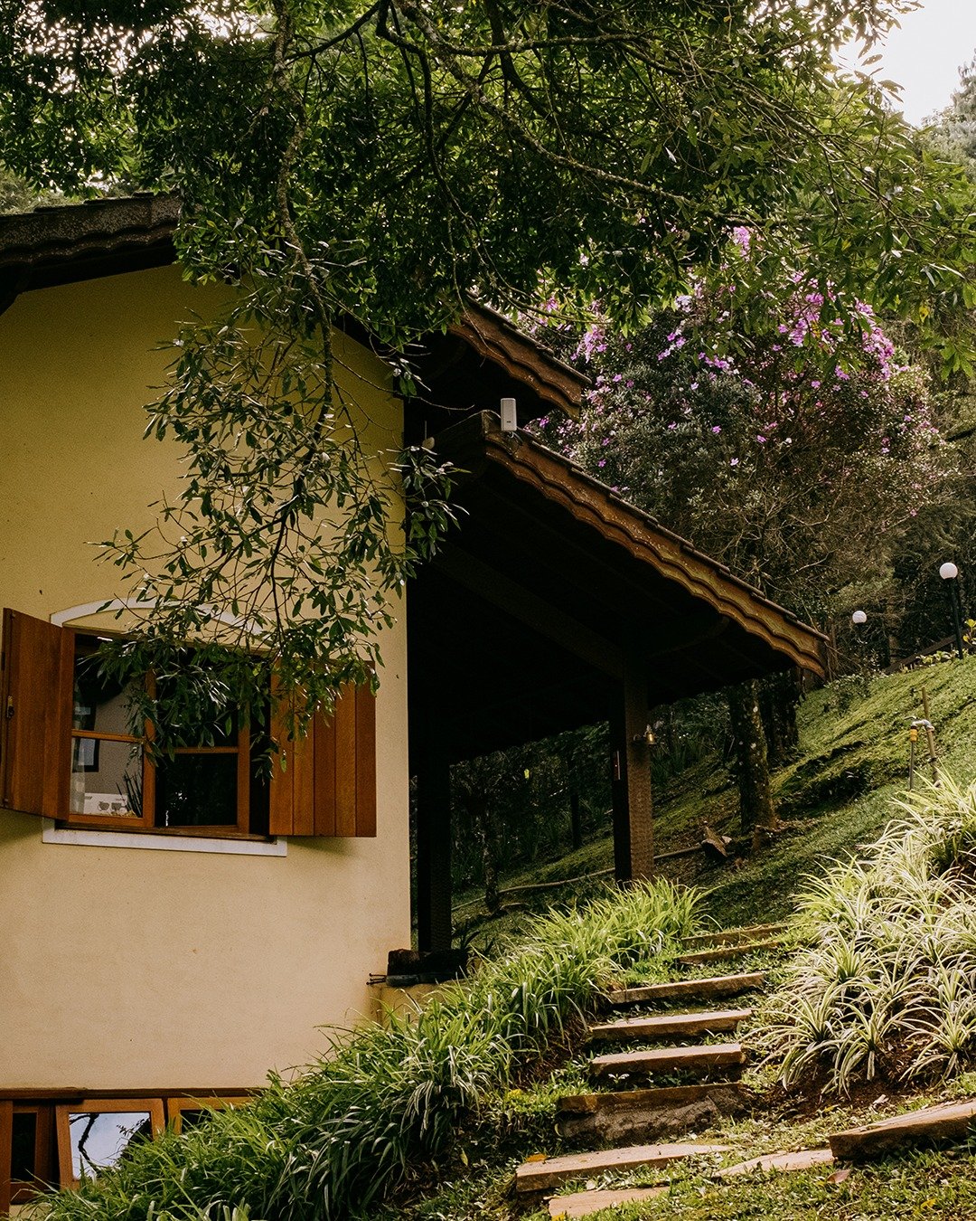 539829721_1219075100237344_370453241207586415_n