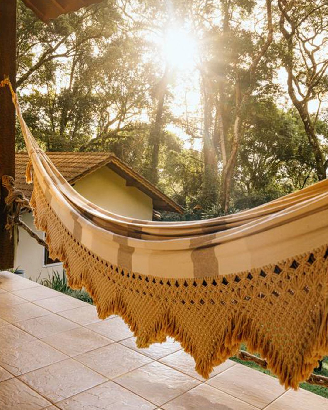 540333512_1219075056904015_5566103804747943290_n