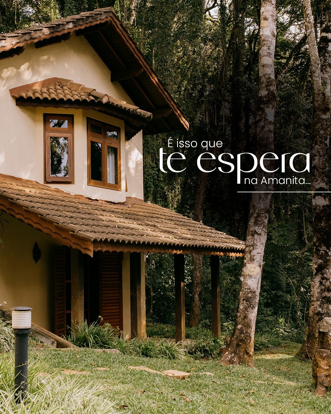 540955423_1219075090237345_6396925373654517501_n